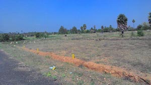 Eswara Nagar Plot